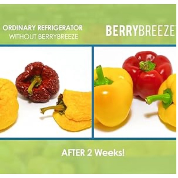 Berry Breeze Activated Oxygen Refrigerator Deodorizer -White - Picture 8 of 9